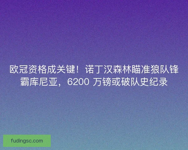 欧冠资格成关键！诺丁汉森林瞄准狼队锋霸库尼亚，6200 万镑或破队史纪录